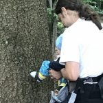Papa hält Baby am Baum ab