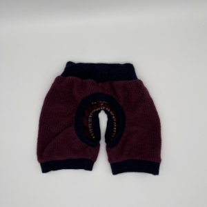 Raven Shorts Beere mit blauen Bündchen von hinten